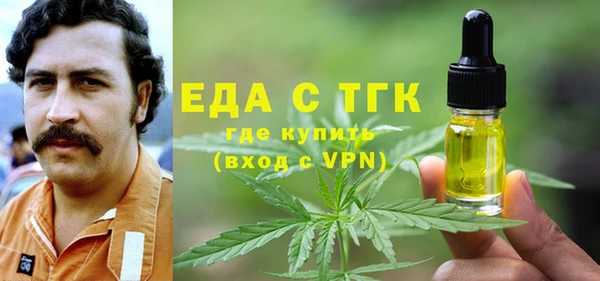 шишки Абаза