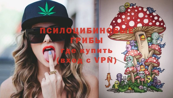 индика Абдулино