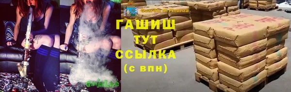 шишки Абаза