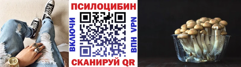 купить наркоту  Суздаль  Псилоцибиновые грибы Psilocybe 